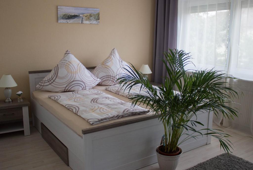 Bella Casa room 5